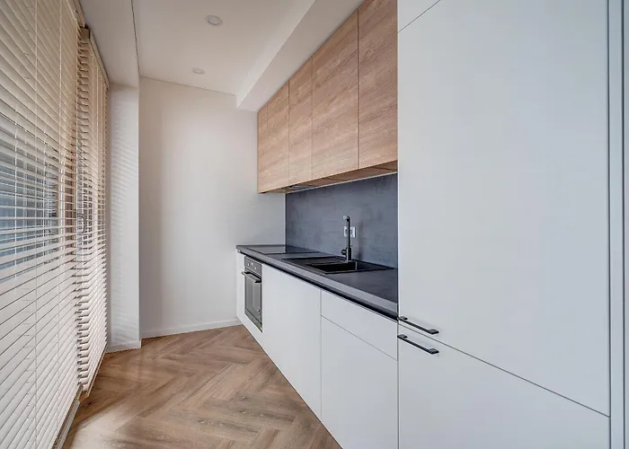 Appartement In Center Vilnius